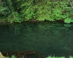 Reflejos