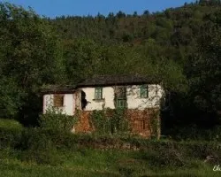 Belleza olvidada