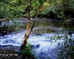 Un paseo por la orilla del r?o Lor