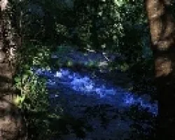 Un paseo por la orilla del r?o Lor