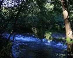 Otros rincones del rio Lor