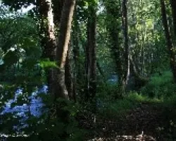 Otros rincones del r?o Lor