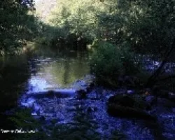 Otros rincones del r?o Lor