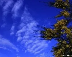 Cielo azul y nubes 