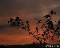 Cielo rojo