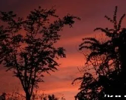 Atardecer 18-06-2009