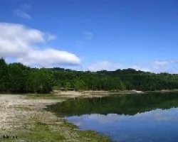Reflejos