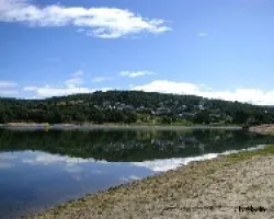 Reflejos