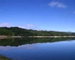 Reflejos