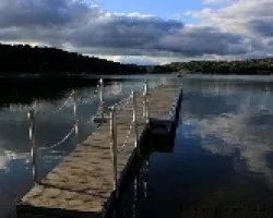 Reflejos