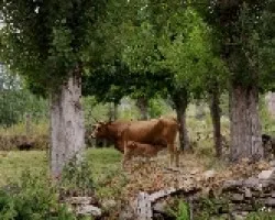 Tiernos momentos