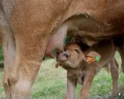 Momentos tiernos