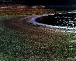 Una foto rara
