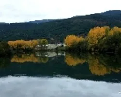 Reflejos amarillos