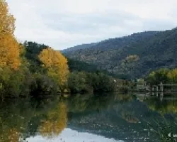 Reflejos  amarillos