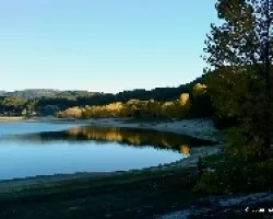 Reflejos amarillos