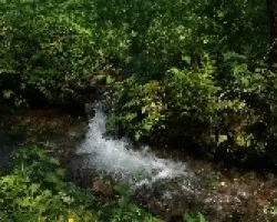 Lindo rincones con agua