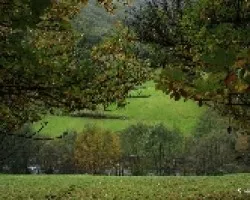 Verde y ocre