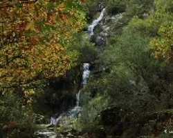 Verde y ocre
