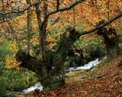 Esos lindos rincones