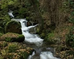 Tresfotos de hoy