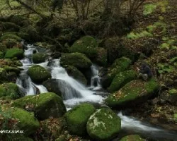 Tresfotos de hoy
