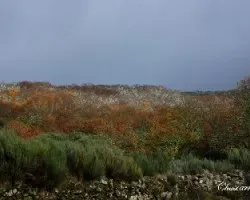 Los colores del otono y la nieve