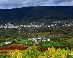 Dos paisajes distintos, vinas y robles