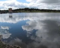 Reflejos