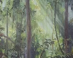 bosque al atardecer