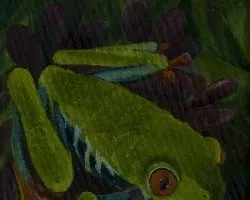 Ranita