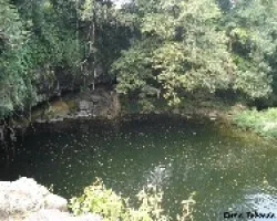 Presa San Pedro