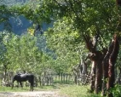 En el rancho