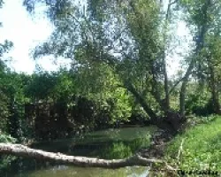 Arroyo