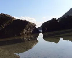 nuevos horizontes