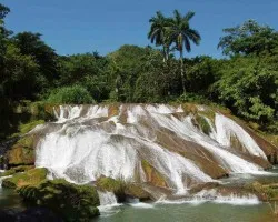 el nicho2