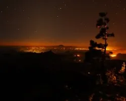 Canaria de noche