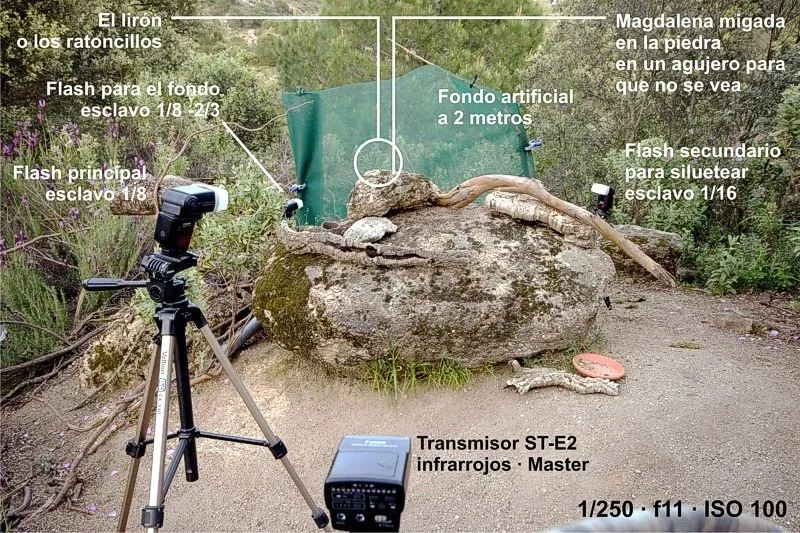 Foto