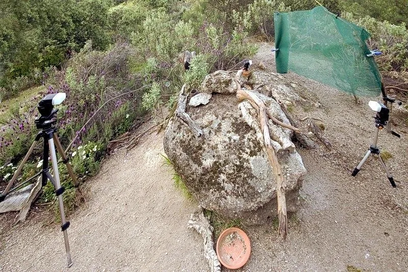 Foto