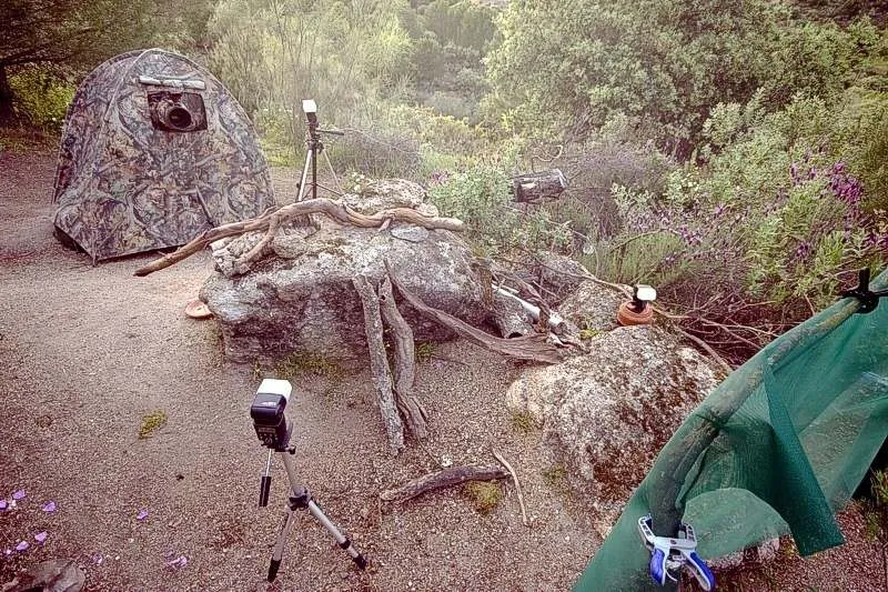 Foto