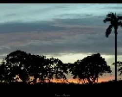 La finca