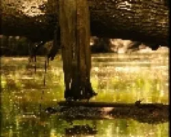 Por el rio