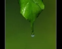 Sin titulo