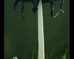 Hongos para alucinar
