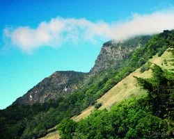 Paisaje 1