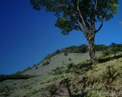 paisaje 3
