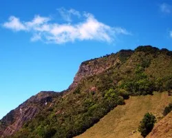 Paisaje 4