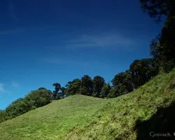 Paisaje 5