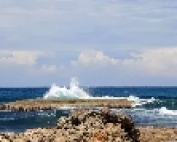 Paisaje 5