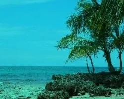 Paisaje 7